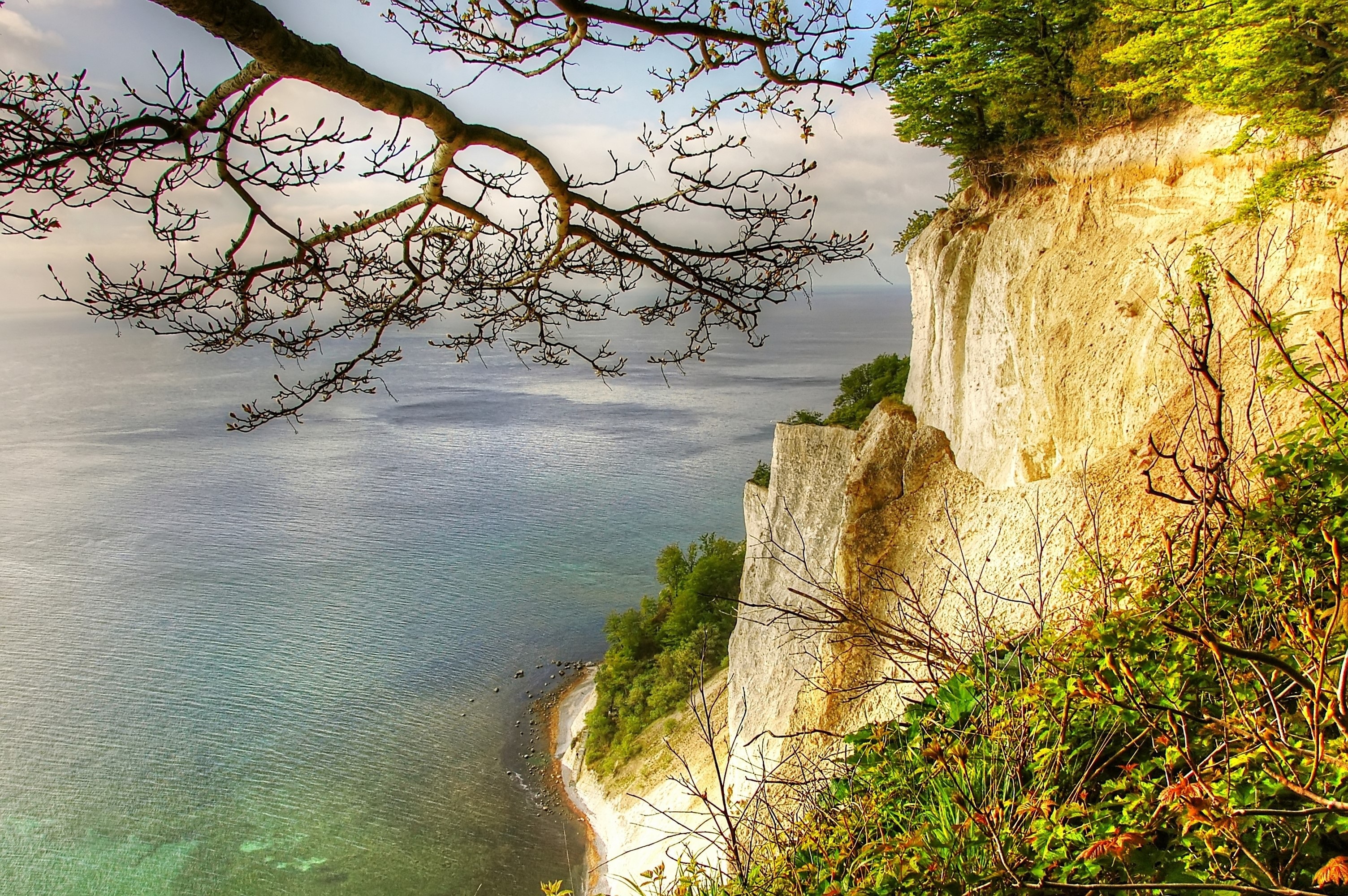 Krijtrotsen van Møns Klint