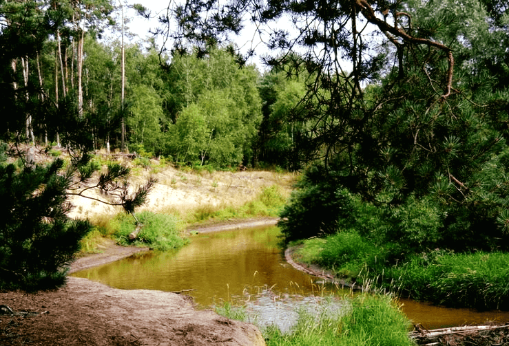 't Lutterzand in Twente, Nederland